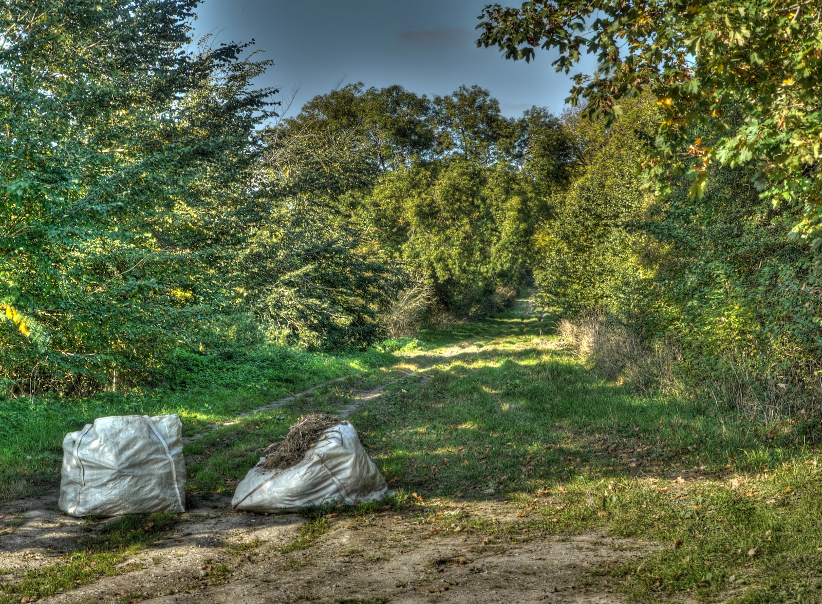 P1190579_80_81_82_83_84_85_tonemapped.jpg