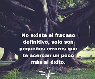 No existe el fracaso definitivo, solo son pequeños errores que te acercan mas al éxito.