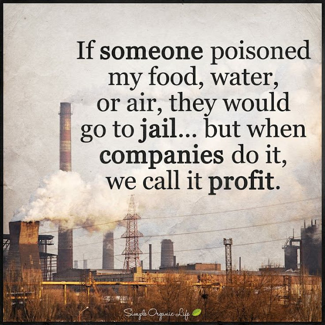 If someone poisoned my food water or air they would go to jail but when companies do it we call it profit. quotes simple organic life