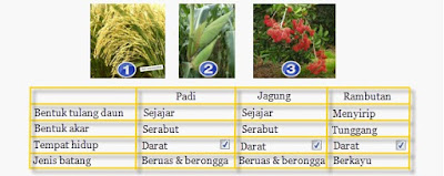 4 Penggolongan Makhluk Hidup Hewan dan  Tumbuhan Hedi 