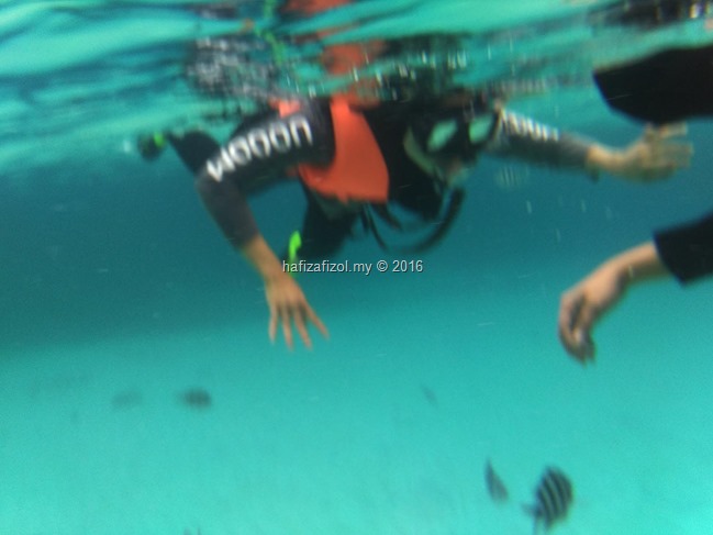 snorkeling pulau redang_2