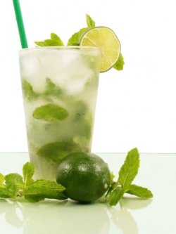 Fast-n-Delicious: Mojito Limeade