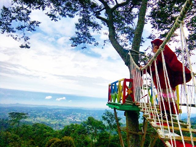 Sigembok Hill Top Bukit Tiga Putra