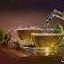 فوائد الشاي الأخضر