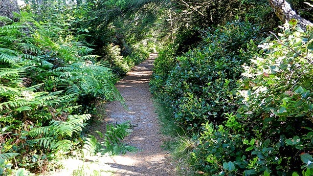 DSCN0131