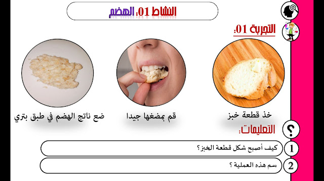 عرض تقديمي لتجويل الاغذية في الانبوب الهضمي للاستاذ صادق مريخي