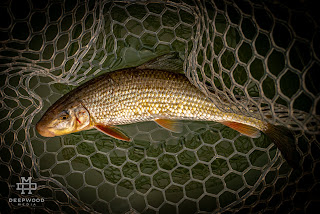 Jackson Butt, Golden Redhorse, Blacktail Redhorse, Redhorse fishing, Redhorse, Redhorse on the fly, fly fishing for Redhorse, Pat Kellner, Texas Freshwater Fly Fishing, TFFF, Fly Fishing Texas, Texas Fly Fishing, Smallmouth Buffalo, Buffalo on the fly, fly fishing for buffalo, what are carp, carp in texas, texas carp fishing, carp on the fly