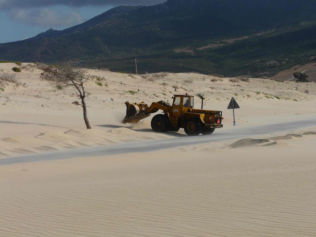 Punta Paloma  sand plough