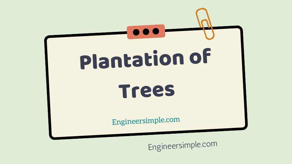 Plantation of Trees