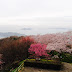 【四國觀察】一生必訪的日本絕景——紫雲出山