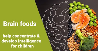 غذاء العقل  Brain foods that help concentrate and develop intelligence for children  أغذية تساعد على التركيز وتنمي الذكاء للأطفال