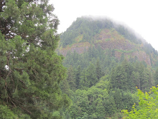 Bonneville Fish Hatchery, near Portland, Oregon