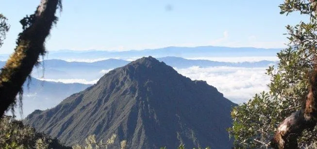 Profil Gunung Burni Geureudong/ Burni Telong