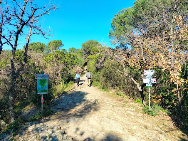 sentiero madonnetta sestri levante