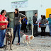 Recém-inaugurado, hospital veterinário do DF não tem registro