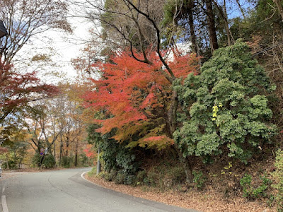 旅館前の紅葉