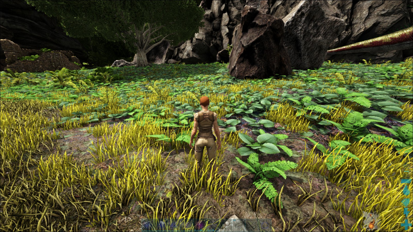 Passione Inc 年版 3d酔いする人のためのark Survival Evolved