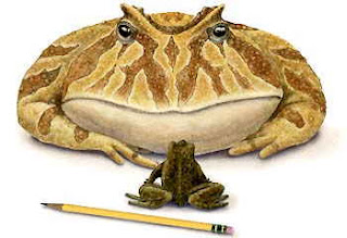 Deviltoad