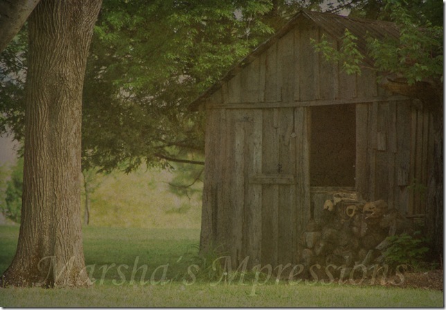 woodshed with gold days at 61 w watermark