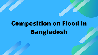 Composition on Flood in Bangladesh