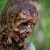‘Walking Dead’ Renewed For Season 6 By AMC