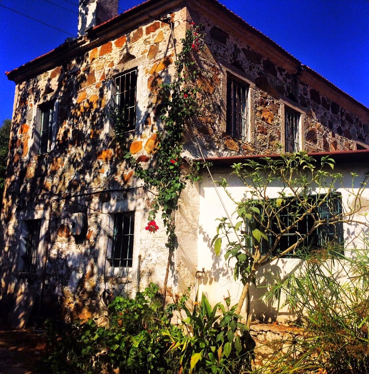 Stone House Tour in Bodrum / Bodrum