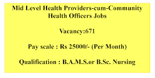 Mid Level Health Providers-cum-Community Health Officers Jobs in Haryana