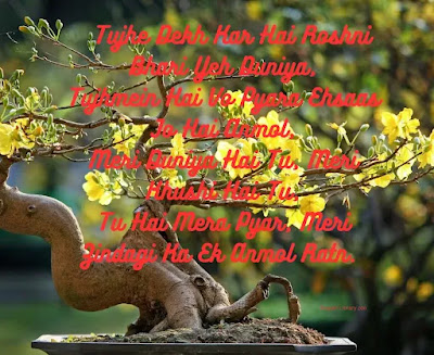 Tere Hontho Pe Hai Muskurahat Ki Chamak | Romantic Shayari