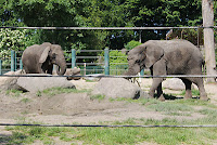 Aalborg Zoo