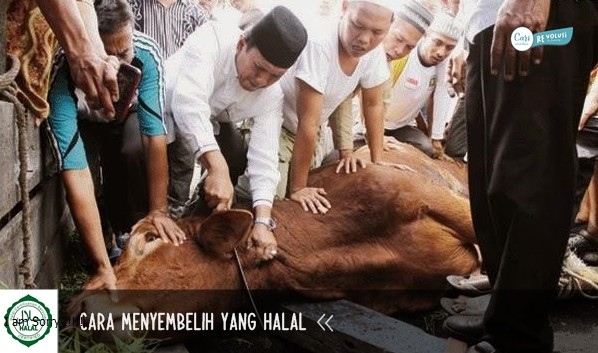 halalan toyyiban, jelaskan manfaat makanan yang halal dan baik, jelaskan pengertian makanan yang halal, contoh makanan halal dan thayyib