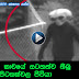 Alien Caught On Security Camera Scary