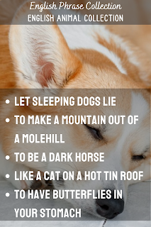 English Phrase Collection | English Animal Collection | Let sleeping dogs lie, To make a mountain out of a molehill, To be a dark horse, Like a cat on a hot tin roof, To have butterflies in your stomach