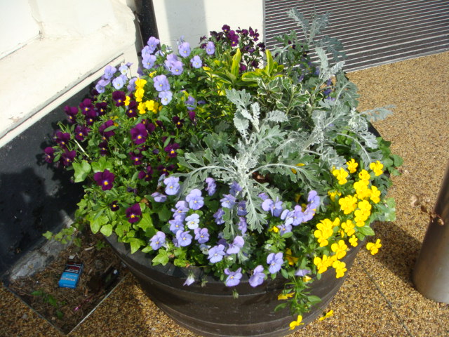 花日記 イギリスの５月の花たち