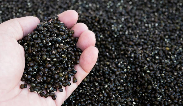 BLACK GRAM / URAD DAL BENEFITS