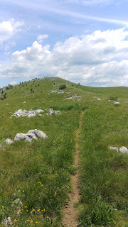 planinarenje, planinarska staza, zeleni obronci, na stazi prema Špičastom vrhu