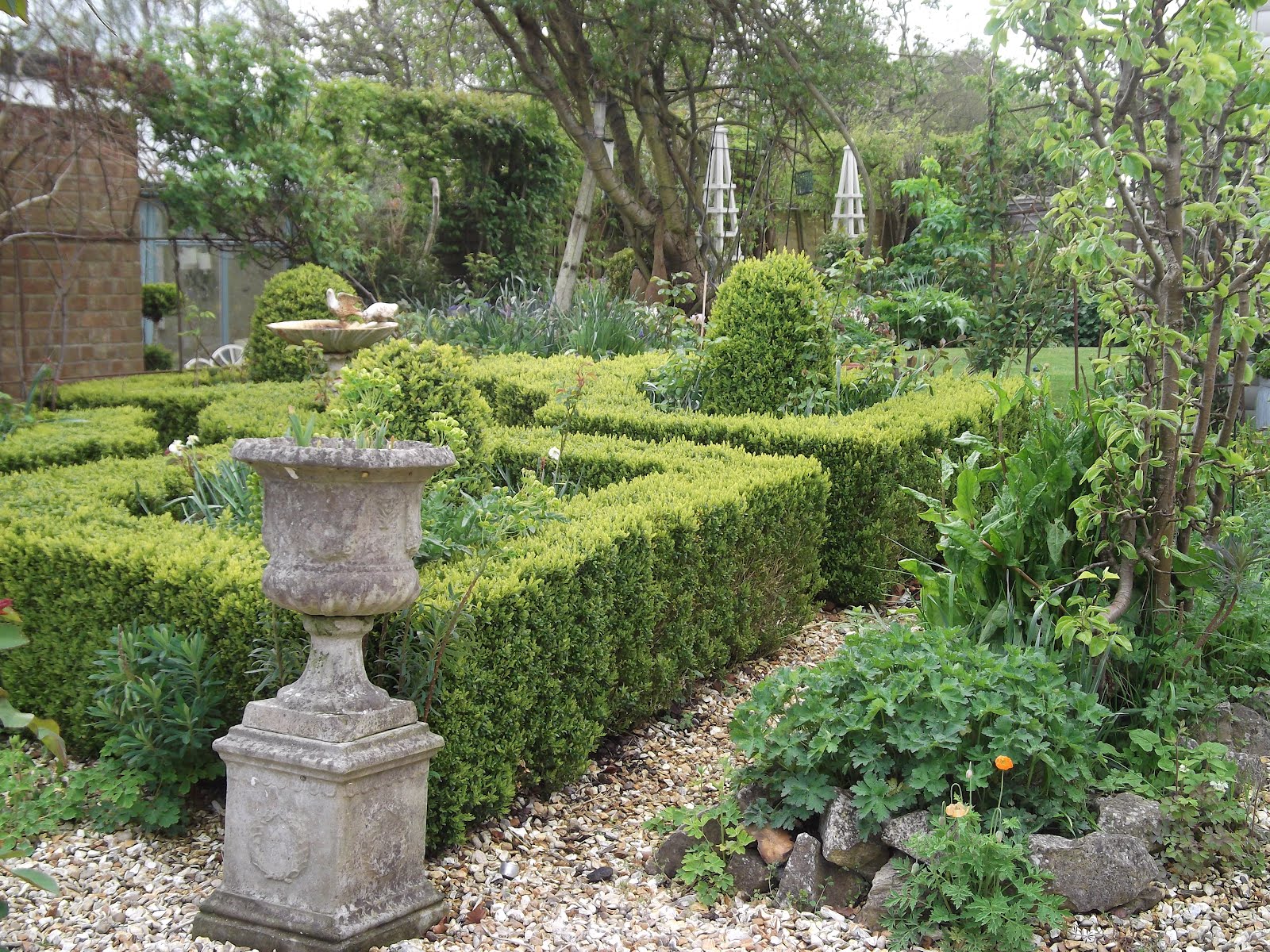 Landscape Evergreen Topiary