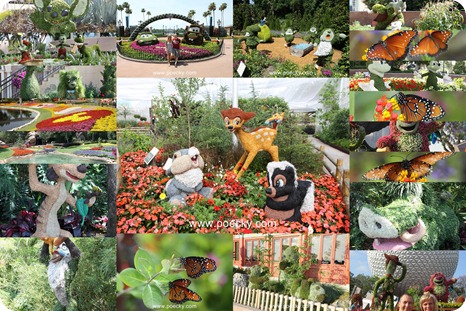 20110509_FlowerGarden