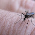 Alerta: seis municípios da região estão em epidemia de dengue