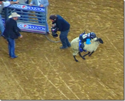 Houston Rodeo