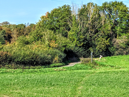 Brickendon Liberty footpath 5 approaching Mangrove Lane