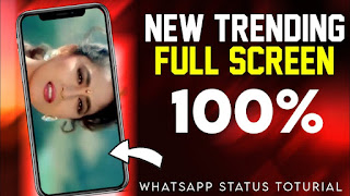 How To Create Trending Full Screen Whatsapp Status | 100% Full Screen In Alight Motion