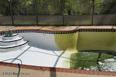 Affordable Pool Service Las Vegas