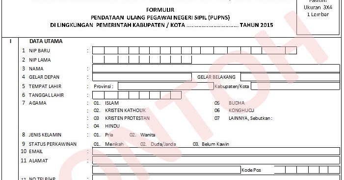 Contoh Format Formulir Pengisian Data PUPNS (Pendataan 