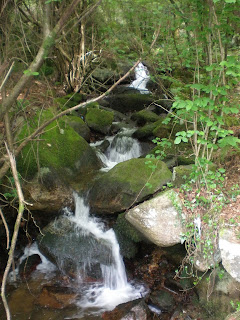 Río Fondón en A Fraga (Chapela). Foto: J. Migueles