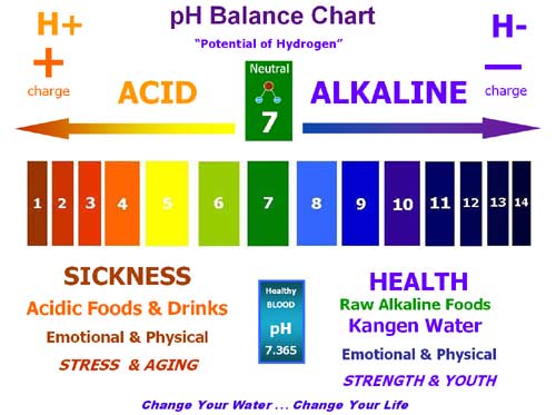 pH+chart+copy