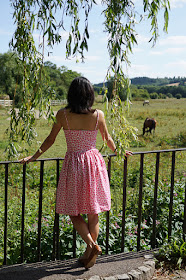 Self-drafted Free Pattern Picnic Dress Pink Back