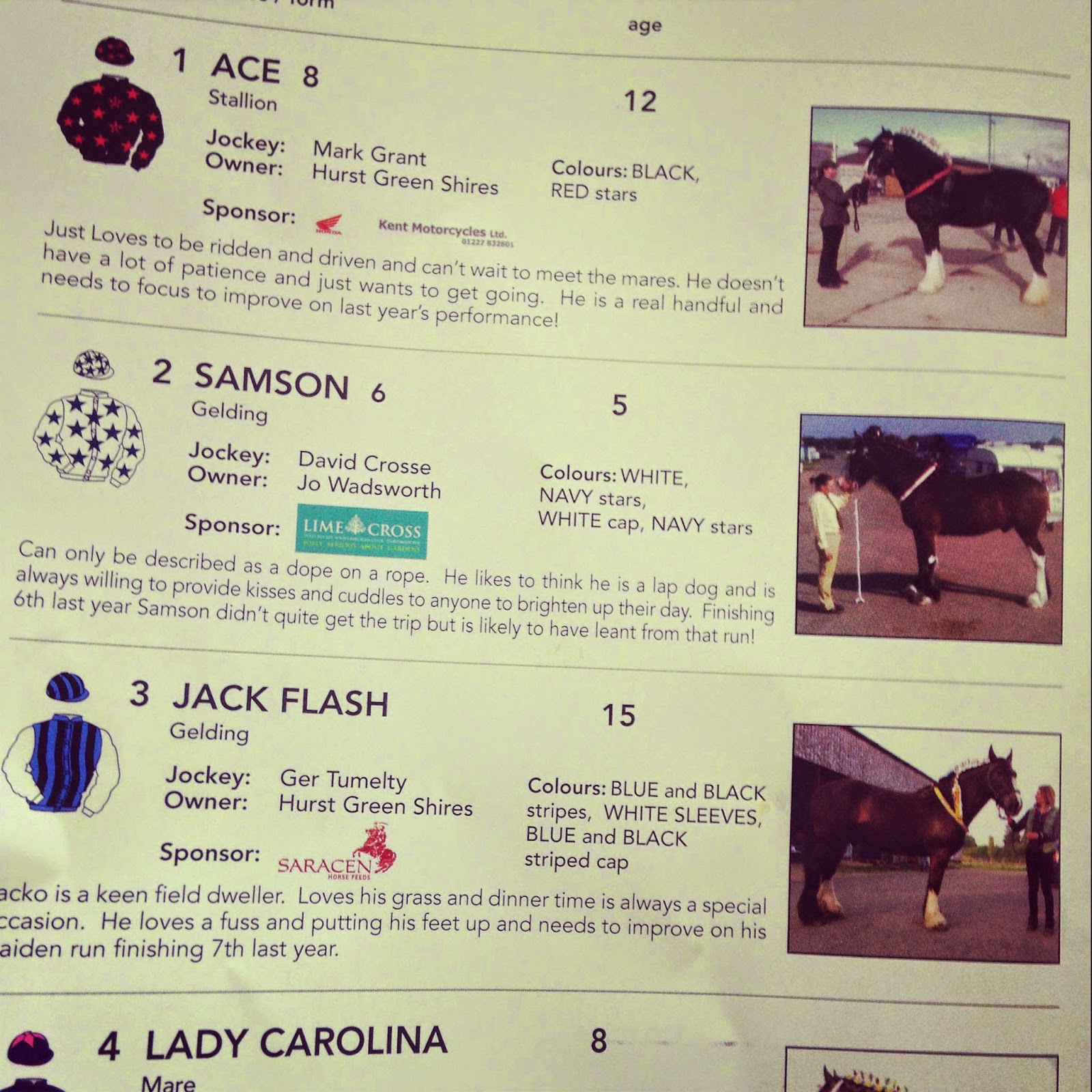 www.racingandsports.tv/the-shire-horse-charge-at-lingfield-2014-v-VSI#.U7HYqBV-Cps.gmail