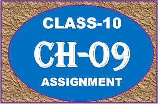 assignment of application of trigonometry class 10