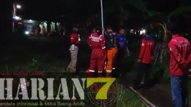 Damkar & Redkar Cilacap Evakuasi Sarang Tawon Setinggi 12 Meter