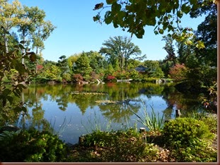 Japaneese Garden -Rockford IL